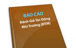 bao-cao-danh-gia-tac-dong-moi-truong-dtm-1